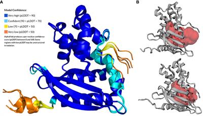 The Mla system and its role in maintaining outer membrane barrier function in Stenotrophomonas maltophilia